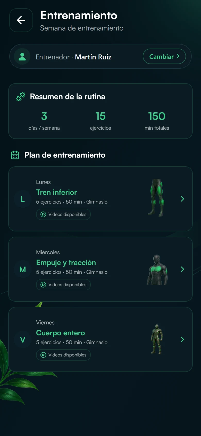 Entrenamiento en la aplicación: resumen de la rutina (3 días por semana, 15 ejercicios) y las sesiones de lunes, miércoles y viernes