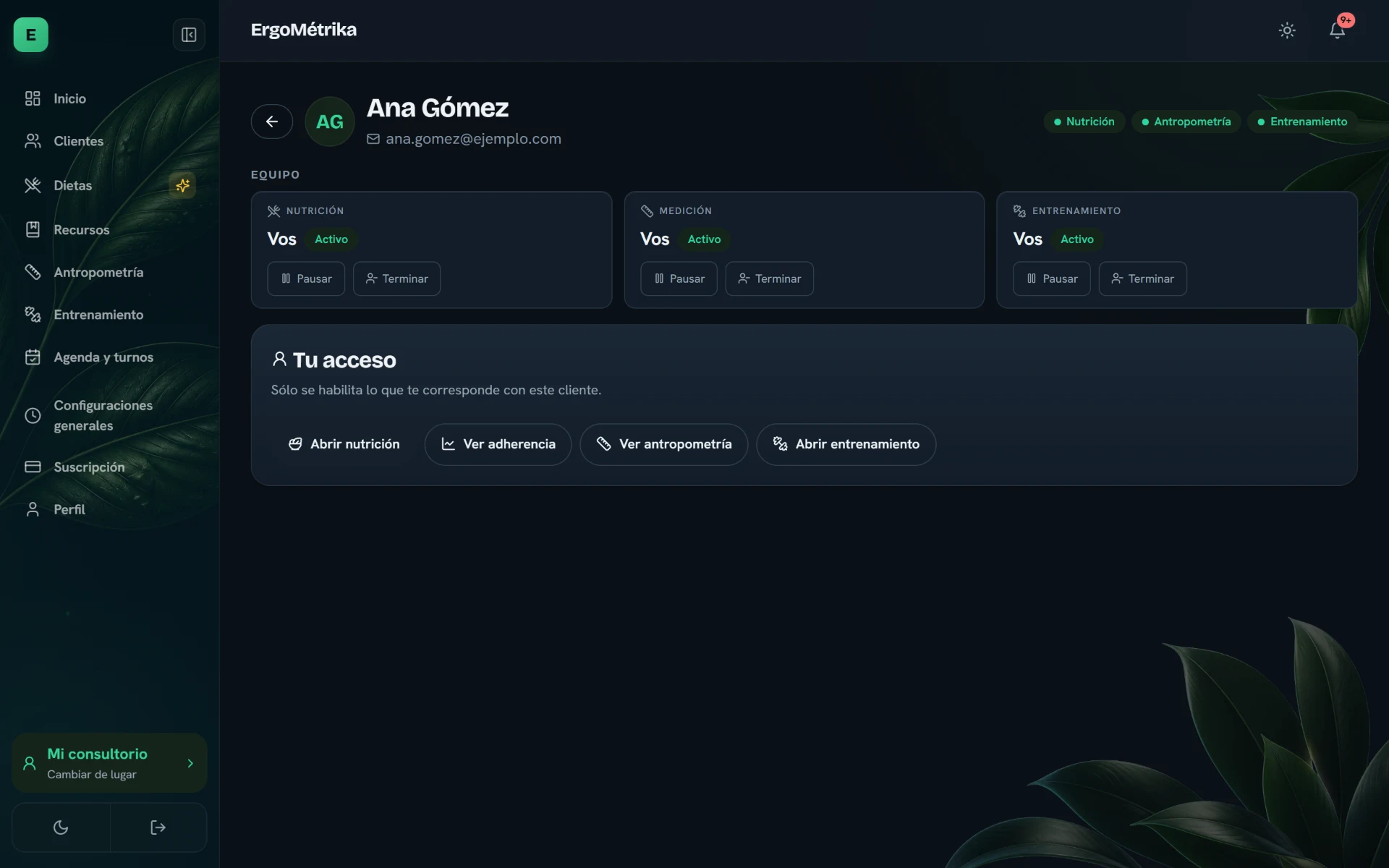 Ficha de un cliente: los tres módulos activos, quién atiende cada uno y los accesos que corresponden al profesional